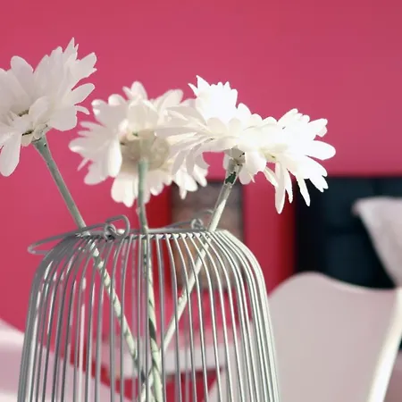 Grand Pinea * Čilipi